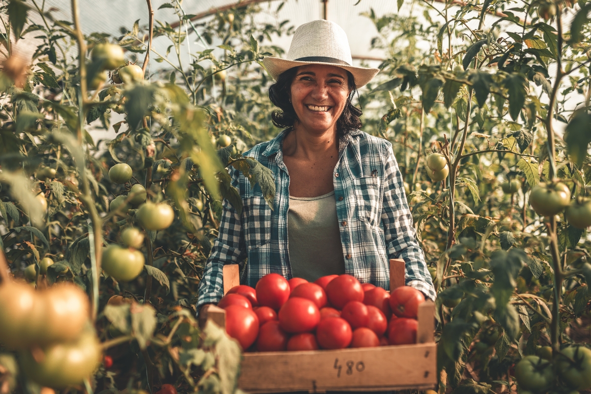 Agriculture & Reforestation